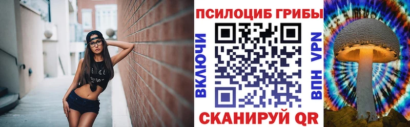 Псилоцибиновые грибы Psilocybine cubensis  Новошахтинск 