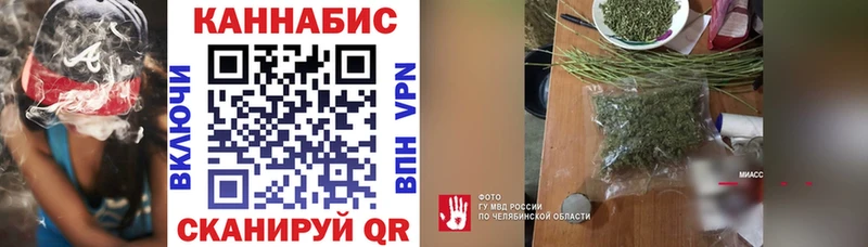 где купить наркоту  Новошахтинск  Бошки Шишки семена 